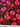 Realistic Roses, 1 yd cotton fabric red pink on black, JoAnns, washed,ironed - 1
