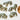 1 - Package of 5 Animal Charms - Lions, Tigers & Buffalos  - 1