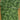 Dark green floral quilt fabric - 1