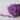 670dca8034be6e479edf2839_eye-purp_1750375929468.jpg