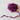 670dca8034be6e479edf2839_ff-purp_1750375535534.jpg