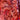 670dca8034be6e479edf2839_img-0616_1749037350104.jpeg
