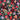 670dca8034be6e479edf2839_img-1269_1750629115117.jpeg