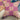 Glorious 9 Patch Quilt Squares, Aunt Grace Fabric 12x12. 54 pieces