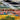 670dca8034be6e479edf2839_img-7124_1750284363218.jpeg