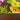 670dca8034be6e479edf2839_img-8689_1750802344618.jpeg