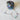 670dca8034be6e479edf2839_nov-purp-green_1750375366814.jpg