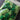 Green Pom-Pom Assortment by Creatology