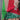 Vintage Christmas Fabric Remnants Bundle